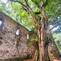 Saint Paul's Hill and the History of St Paul's Church