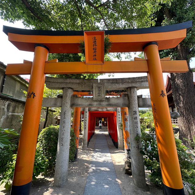 福岡人嘅後花園