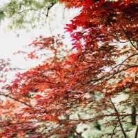 สวนศิลปะ Anyang Art Park 