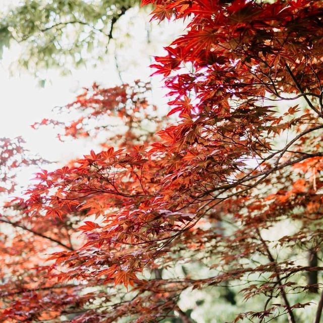 สวนศิลปะ Anyang Art Park 