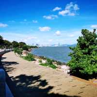 深圳灣公園• 濱海休閒帶