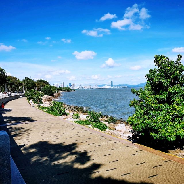 深圳灣公園• 濱海休閒帶