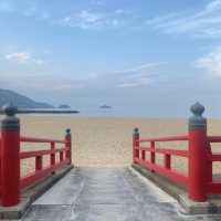 香川県の隠れた絶景スポット【津田の松原🌊🌲】