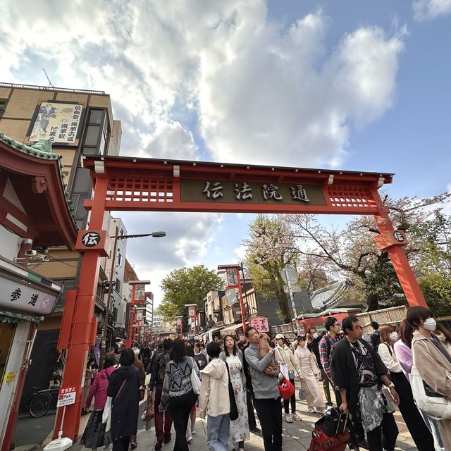 淺草、隅田公園🌸、晴空塔散策