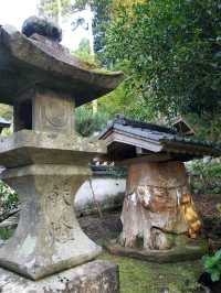 湯布院のおすすめ観光•グルメスポット