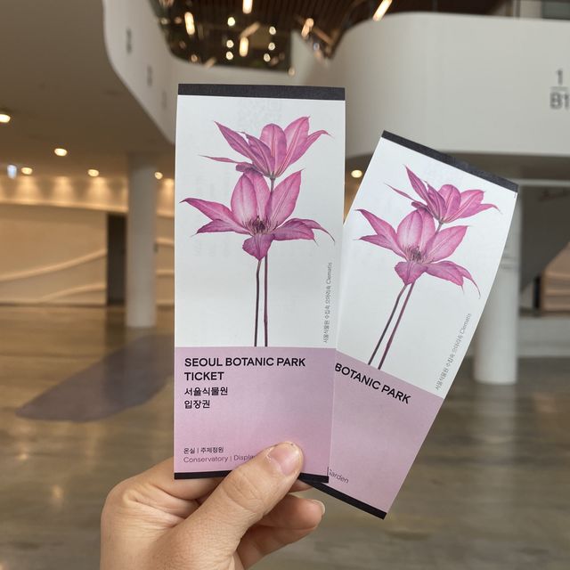 화려한 수국축제 마곡나루 서울식물원🌸