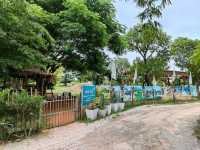 Café and Farm วิวดี ติดธรรมชาติ 