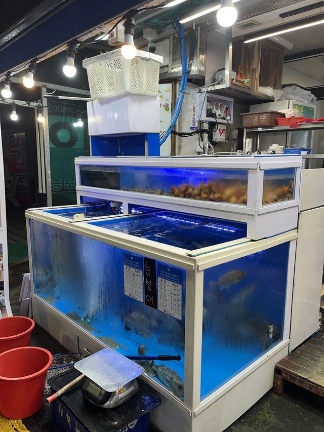 올레시장에 위치한 딱새우회 맛집 올레강민