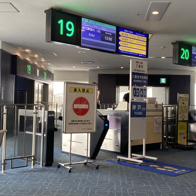 スカイマーク"そらとぶピカチュウプロジェクト"のピカチュウジェット