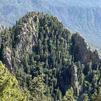 Bond with nature at Sandia Mountain