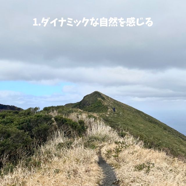 📍八丈島/東京