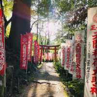 Autumn walk through Dazaifu