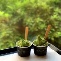 제주녹차밭 구경하기💚 “오설록 티 뮤지엄”🍵