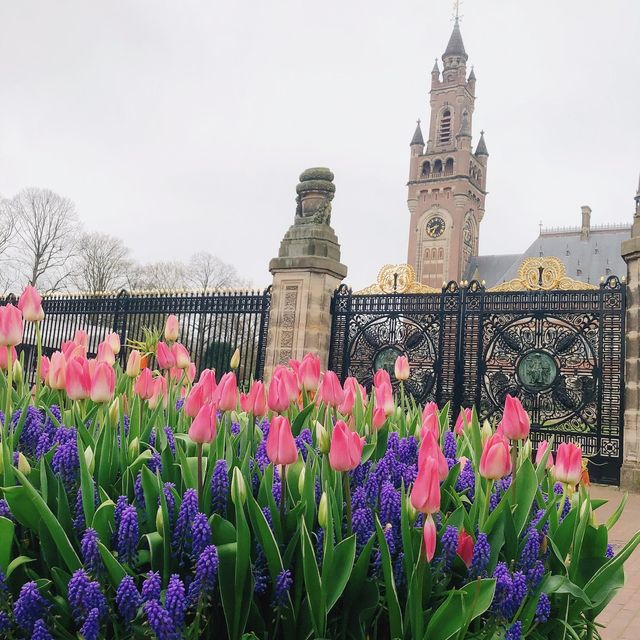 🇳🇱荷蘭海牙🏰☮️❤️‍🔥 Peace Palace（和平宮）♾️ 🔥World Peace Flame（世界和平火焰）