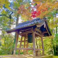 Saimyoji Serenity: Autumn's Radiance Revealed