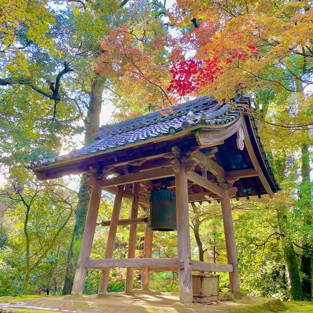 Saimyoji Serenity: Autumn's Radiance Revealed
