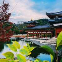 Byodo-in Temple Kyoto 