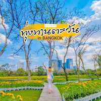 ถึงเวลาทานตะวันแบ่งบาน🌻ไปถ่ายรูปที่สวนรถไฟใกล้ๆ