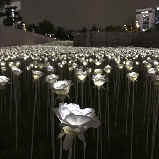 Dongdaemun Design Plaza