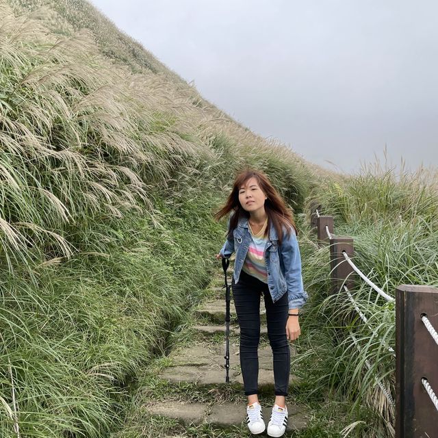 台北 七星山