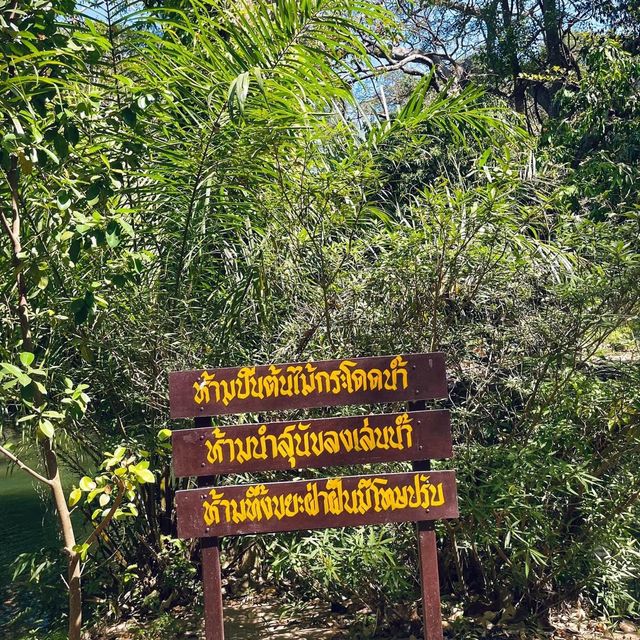 สวนรุกขชาติมวกเหล็ก Muak Lek Arboretum 
