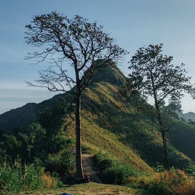 “เขาช้างเผือก”  🌿✨  อ.ทองผาภูมิ จ.กาญจนบุรี