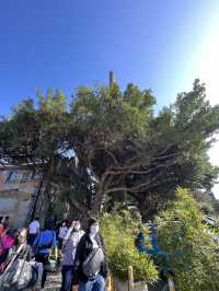 🤓走訪台北文青勝地  華山1914文創園區🥳