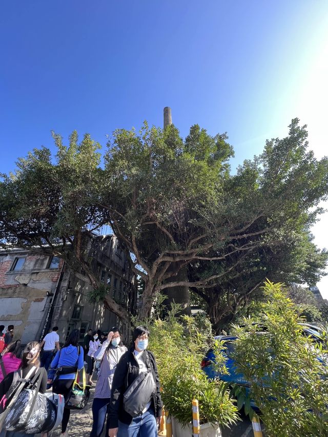 🤓走訪台北文青勝地  華山1914文創園區🥳 🤓走訪台北文青勝地  華山1914文創園區🥳