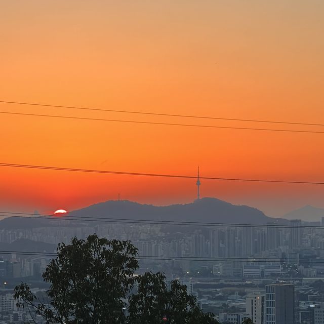 요즘같은 날씨에 등산하기 쉬운 서울 산!!⛰️❤️