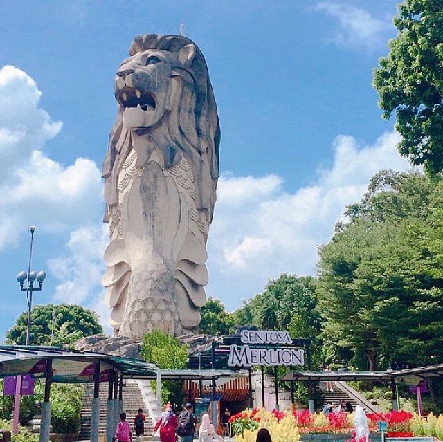 싱가포르 필수 관광코스! 싱가폴인들의 관광지 센토사섬🏝️