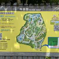 深圳野生動物園👍🏻餵長頸鹿🦒初體驗😌福田30分鐘距離