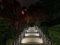 《釜山》冬柏島上看夜景的好去處-APEC世峰樓