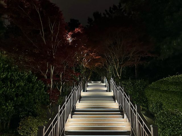 《釜山》冬柏島上看夜景的好去處-APEC世峰樓