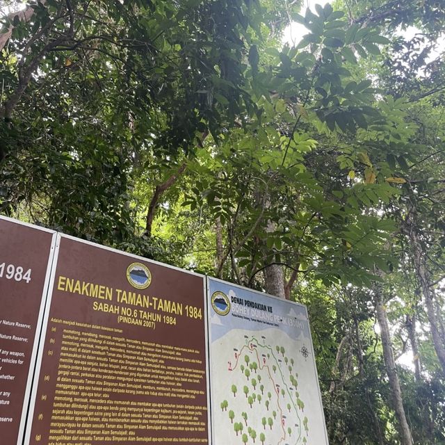 ⛰️仙本那 珍珠島海洋公園浮潛 一定要去！🏝️