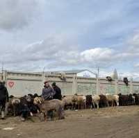 동물을 사고 파는 일요일 가축 시장인 Livestock Bazar 🇰🇬