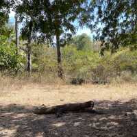 komodo national park