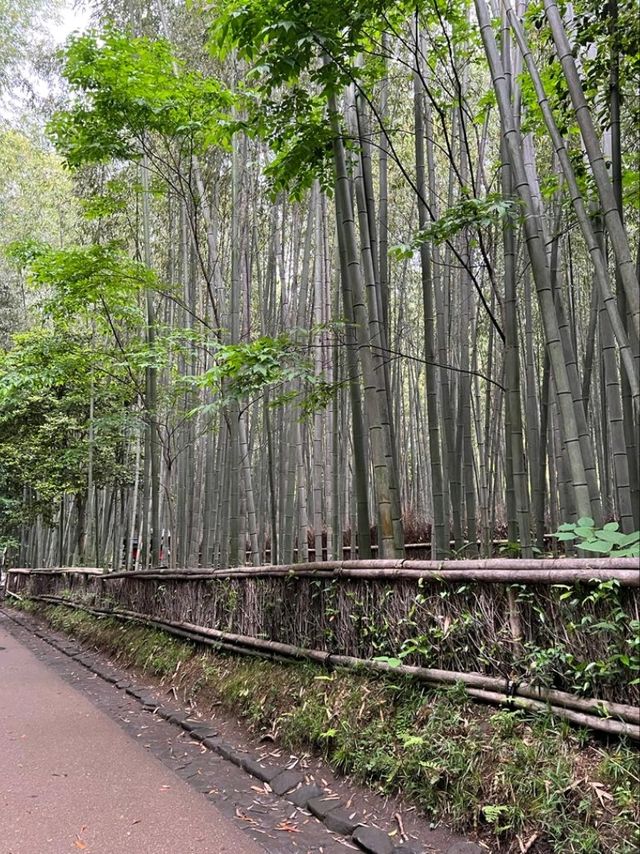 【細心欣賞大阪嵐山】三個推介景點🇯🇵