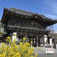 【千葉観光】成田山巡り✨