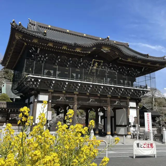 【千葉観光】成田山巡り✨