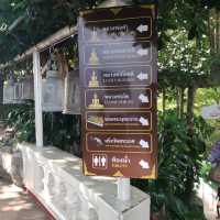 Golden Mount and Wat Saket in Bangkok!