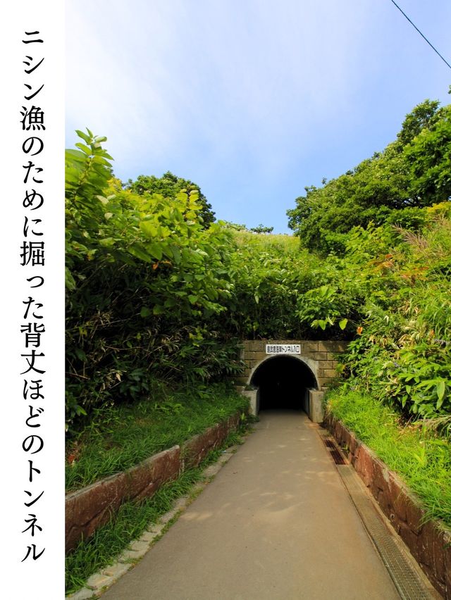 【積丹/島武意海岸】北海道の絶景ログVol.4