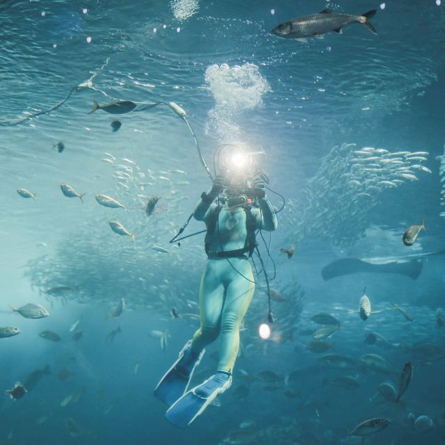【神奈川】「新江ノ島水族館」でこの夏は新たな発見を🐟