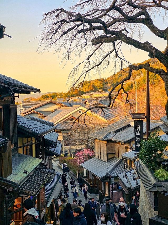 🧡전통이 그대로 살아숨쉬는 기요미즈데라'청수사'🧡