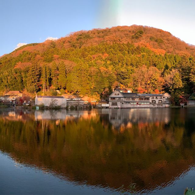 由布院金鱗湖🍁🍂紅葉季美得醉人