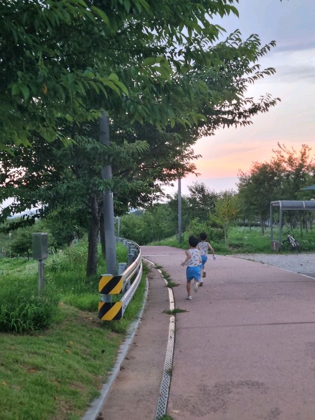 야생조류생태공원에서의 플로깅