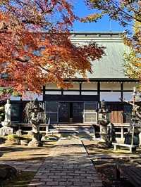 【東京都/小川寺】小平で美しい庭園が見られる寺院