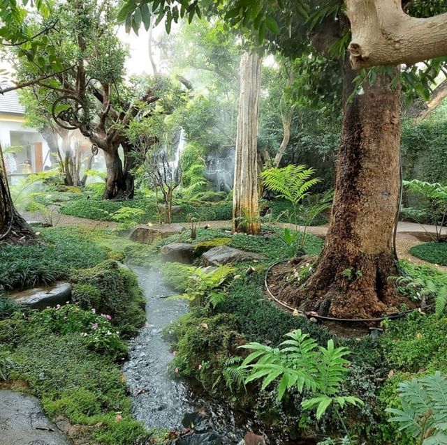คาเฟ่สวยธีมป่าในเทพนิยาย