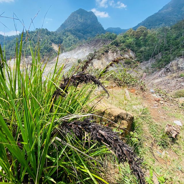 Taman Nasional Halimun Salak 