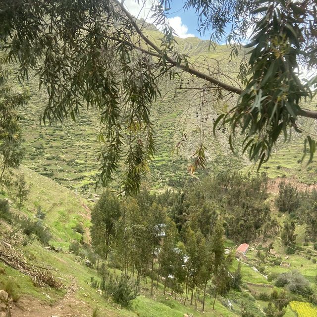 페루 쿠스코 트레킹 풍경 🌳