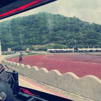 馬祖的公車